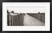 Framed Beach Path