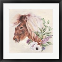 Framed Paisley the Pony