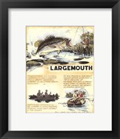 Framed Large Mouth