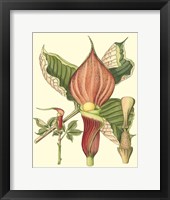 Botanical Fantasy I Framed Print