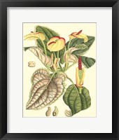 Botanical Fantasy III Framed Print