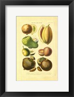 Fruits and Nuts I Framed Print