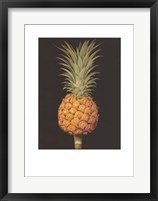 Framed Brookshaw's Exotic Pineapple II