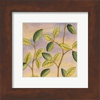 Framed Luminous Leaves I