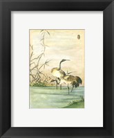 Oriental Cranes II Framed Print