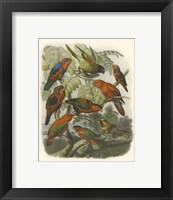 Framed Red Cassel Birds II