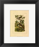 Framed Exotic Birds I