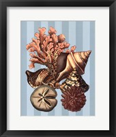Shell and Coral on Aqua I Framed Print