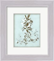 Framed Lilium on Blue