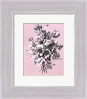 Framed Roses on Pink