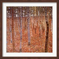 Framed Forest of Beeches, c.1903