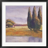 Framed Sunset Cypress