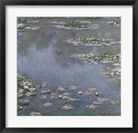 Framed Waterlilies