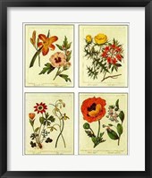 Framed Botanical, 4 Up