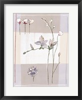 Framed Impression Florale II