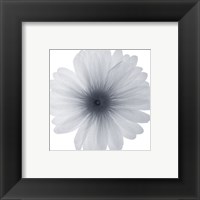 Framed Delicate Petals