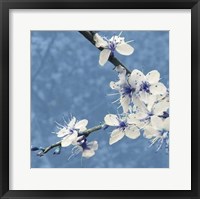 Framed Blossom in Blue