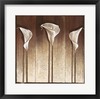 Framed Three Calla Lilies