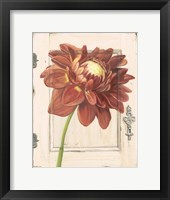 Framed Dahlia Door