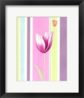Framed Flowers & Stripes III