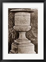 Versailles Urn II Framed Print