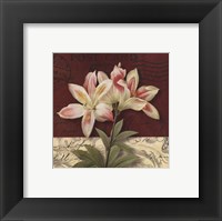 Framed Postcard Lily