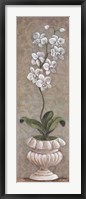 Framed Lavish Orchids I