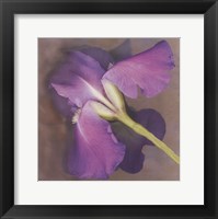 Parfum Framed Print