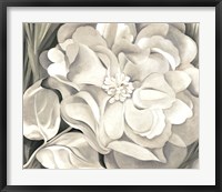 Framed White Calico Flower, 1931