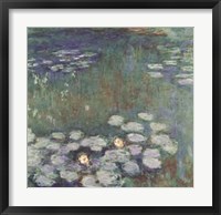 Framed Water Lilies