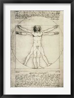 Framed Human Proportions-Vitruvian Man