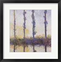 Framed Poplars