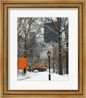 Framed Gates Love Bridge, Central Park