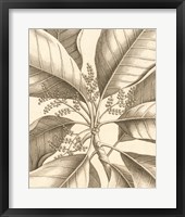Tropical Connection II Framed Print