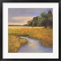 Low Country Landscape II Framed Print