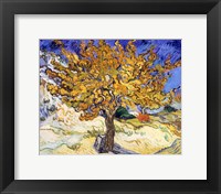 Framed Mulberry Tree in Autumn, c.1889