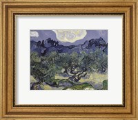 Framed Olive Trees, 1889
