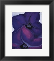 Framed Purple Petunias, 1925