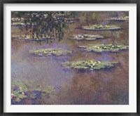 Framed Water Lilies, 1903