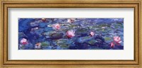 Framed Water Lilies (blue and purple)