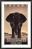 Framed Serengeti