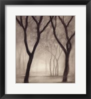 Framed Forest IV