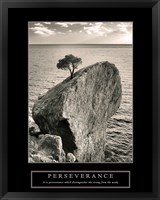 Framed Perseverance - Lone Pinyon Tree