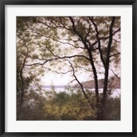 Lakeside Trees I Framed Print