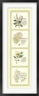 Framed Kitchen Herbs I