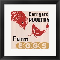 Barnyard Poultry-Farm Eggs Framed Print