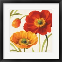 Poppies Melody III Framed Print