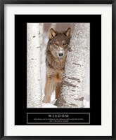 Framed Wisdom - Gray Wolf