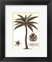 Framed Palm and Crest I
