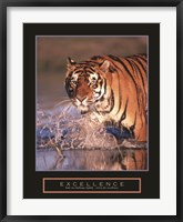 Framed Excellence - Bengal Tiger